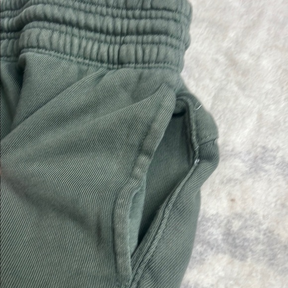Aerie Sage Joggers - Picture 4 of 6
